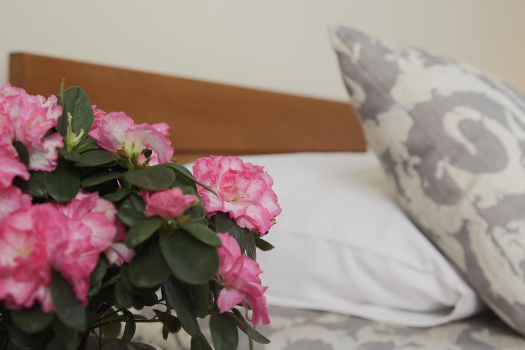 Accommodation Tara Belgrado Exterior foto